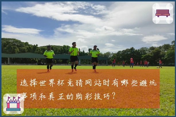选择世界杯竞猜网站时有哪些避坑事项和真正的购彩技巧？