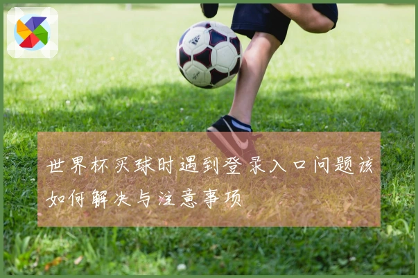 世界杯买球时遇到登录入口问题该如何解决与注意事项