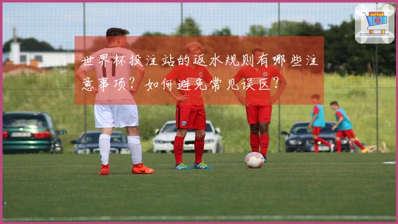 世界杯投注站的返水规则有哪些注意事项？如何避免常见误区？