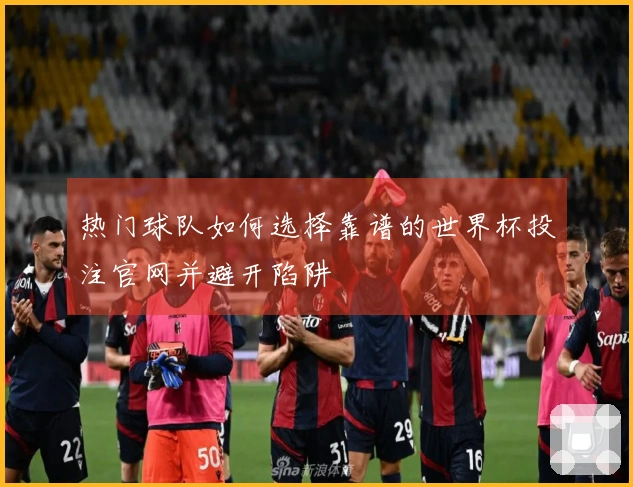 热门球队如何选择靠谱的世界杯投注官网并避开陷阱