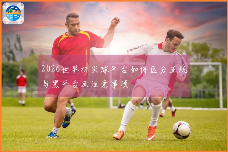 2026世界杯买球平台如何区分正规与黑平台及注意事项