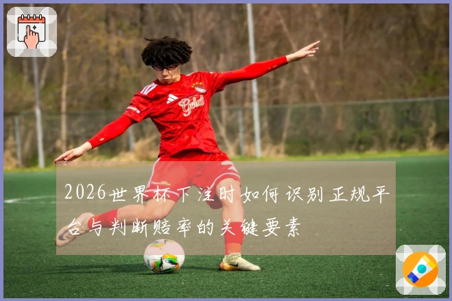 2026世界杯下注时如何识别正规平台与判断赔率的关键要素
