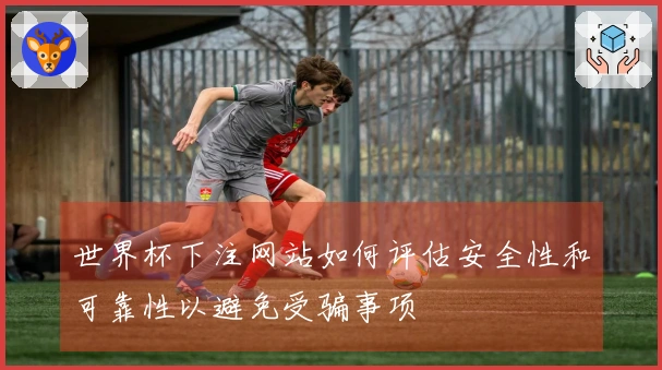 世界杯下注网站如何评估安全性和可靠性以避免受骗事项