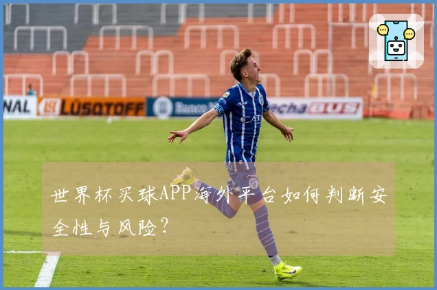 世界杯买球APP海外平台如何判断安全性与风险？