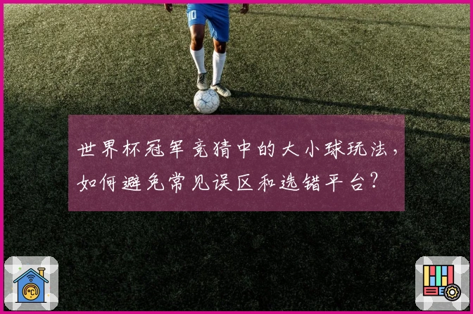 世界杯冠军竞猜中的大小球玩法，如何避免常见误区和选错平台？