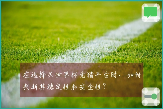 在选择买世界杯竞猜平台时，如何判断其稳定性和安全性？