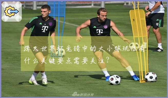 烽火世界杯竞猜中的大小球玩法有什么关键要点需要关注？