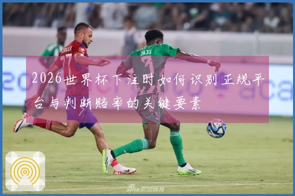 2026世界杯下注时如何识别正规平台与判断赔率的关键要素
