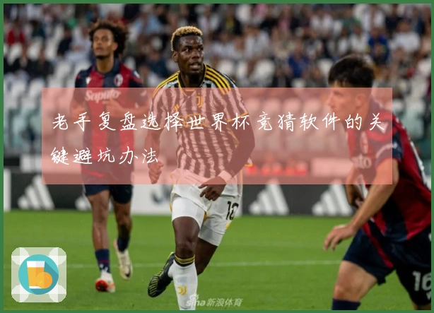 老手复盘选择世界杯竞猜软件的关键避坑办法