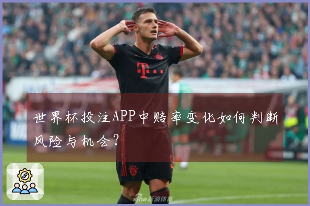 世界杯投注APP中赔率变化如何判断风险与机会？