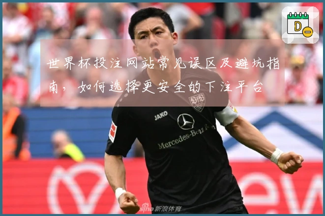 世界杯投注网站常见误区及避坑指南，如何选择更安全的下注平台