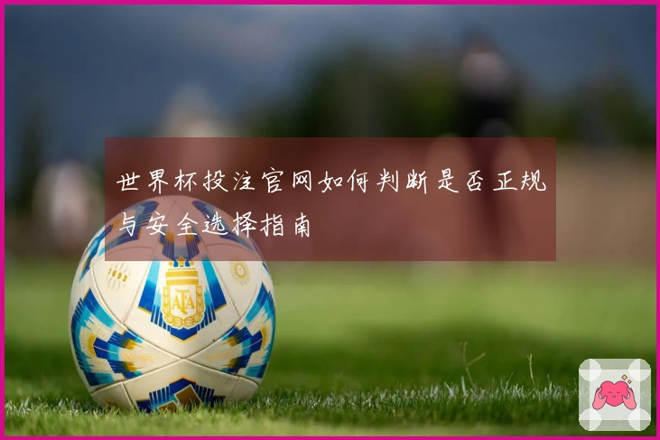世界杯投注官网如何判断是否正规与安全选择指南