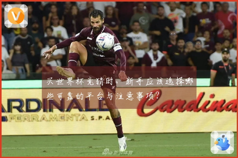买世界杯竞猜时，新手应该选择哪些可靠的平台与注意事项？