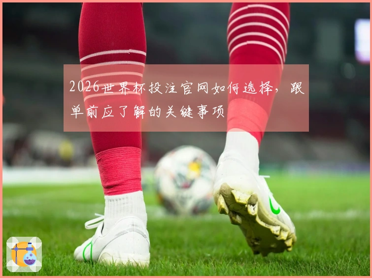 2026世界杯投注官网如何选择，跟单前应了解的关键事项