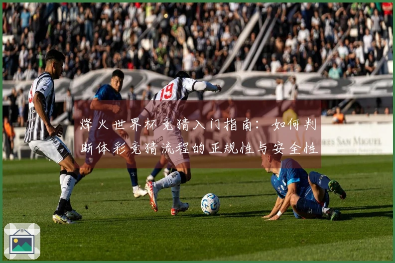 烽火世界杯竞猜入门指南：如何判断体彩竞猜流程的正规性与安全性