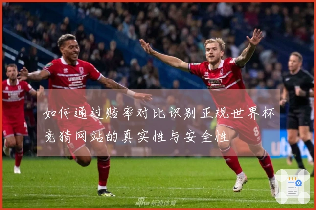 如何通过赔率对比识别正规世界杯竞猜网站的真实性与安全性