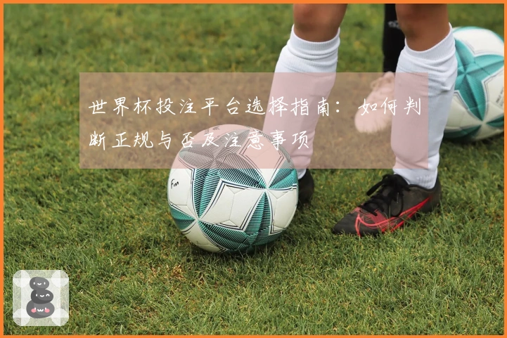 世界杯投注平台选择指南：如何判断正规与否及注意事项