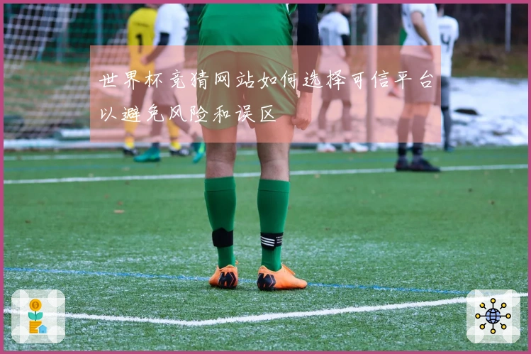 世界杯竞猜网站如何选择可信平台以避免风险和误区