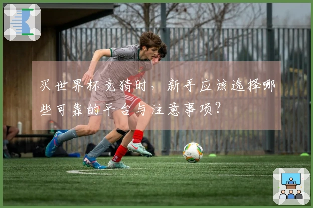买世界杯竞猜时，新手应该选择哪些可靠的平台与注意事项？