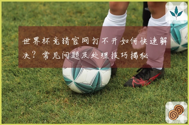 世界杯竞猜官网打不开如何快速解决？常见问题及处理技巧揭秘
