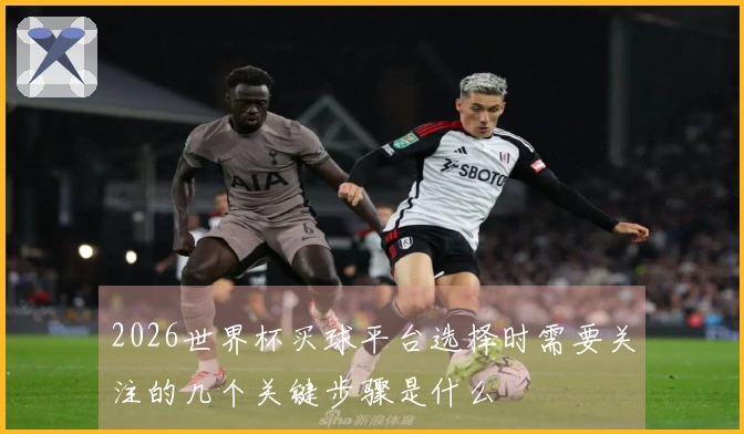 2026世界杯买球平台选择时需要关注的几个关键步骤是什么