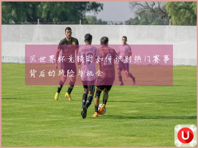 买世界杯竞猜时如何识别热门赛事背后的风险与机会
