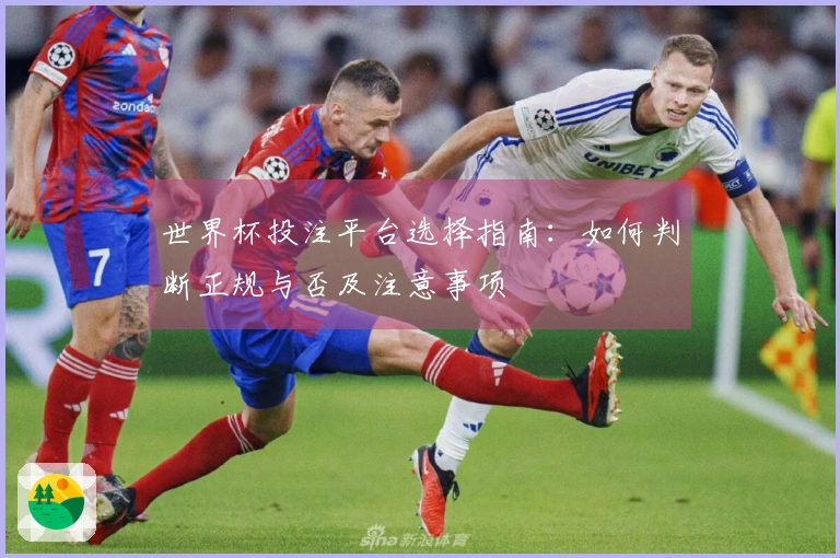 世界杯投注平台选择指南：如何判断正规与否及注意事项