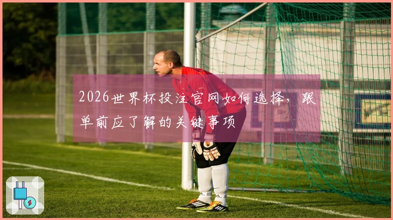 2026世界杯投注官网如何选择，跟单前应了解的关键事项