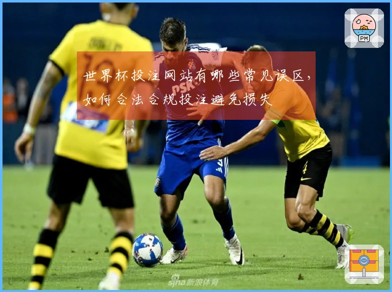 世界杯投注网站有哪些常见误区，如何合法合规投注避免损失