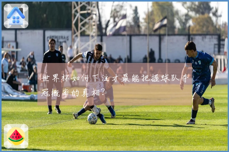 世界杯如何下注才最能把握球队夺冠概率的真相？