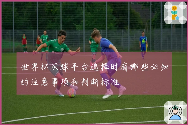 世界杯买球平台选择时有哪些必知的注意事项和判断标准