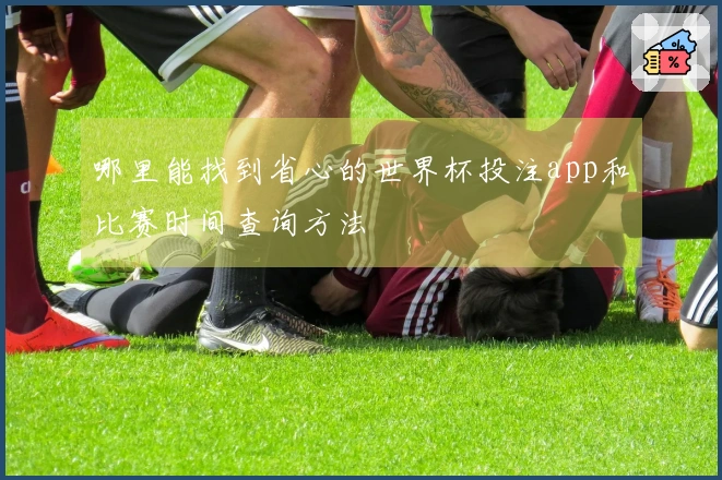 哪里能找到省心的世界杯投注app和比赛时间查询方法