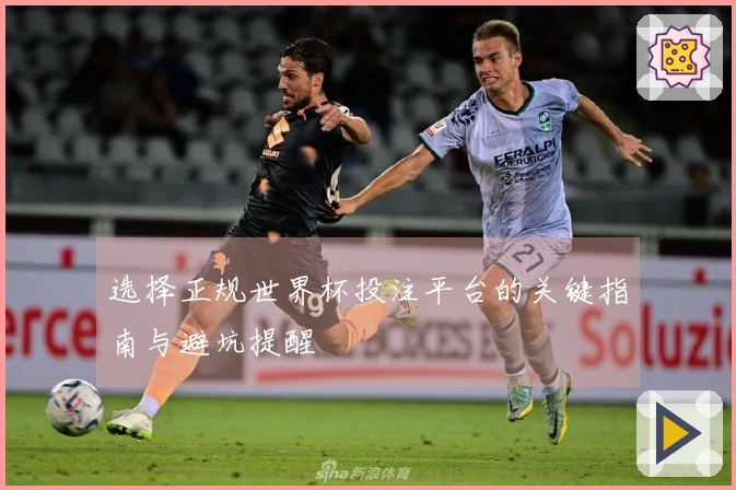 选择正规世界杯投注平台的关键指南与避坑提醒