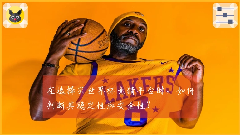 在选择买世界杯竞猜平台时，如何判断其稳定性和安全性？