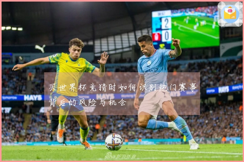 买世界杯竞猜时如何识别热门赛事背后的风险与机会
