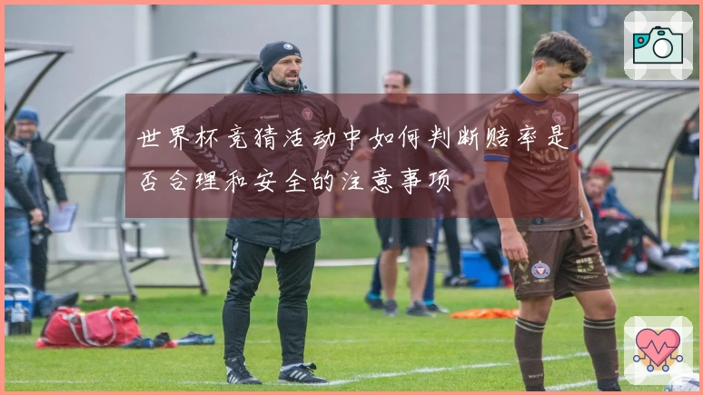 世界杯竞猜活动中如何判断赔率是否合理和安全的注意事项