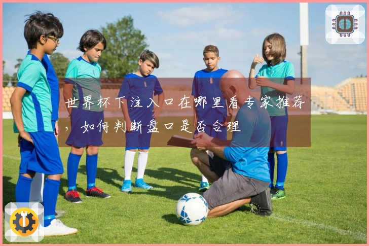 世界杯下注入口在哪里看专家推荐，如何判断盘口是否合理