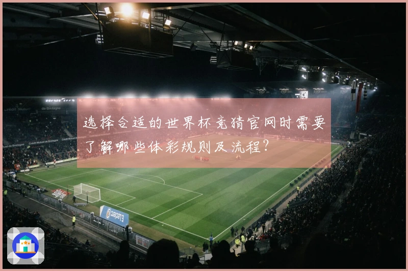 选择合适的世界杯竞猜官网时需要了解哪些体彩规则及流程？